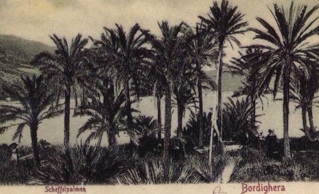 Pierre Renoir View of Bordighera:the Palms Postcard Sweden oil painting art